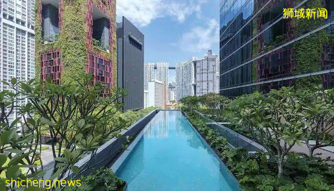 離開新加坡,你會想念嗎?回國2年的TA現身說法