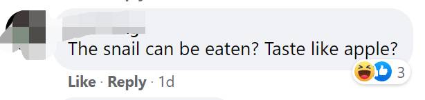 惊!新加坡蓄水池旁出现大量粉色生物……慎点