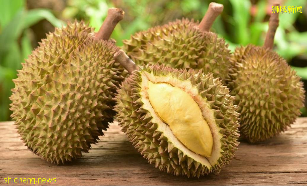 一年吃掉1200万个榴梿,新加坡把壳做成抗菌绷带