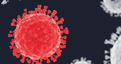 又一回国航班熔断了!全球死亡率排行:中国最低,新加坡第三!张文宏有错么