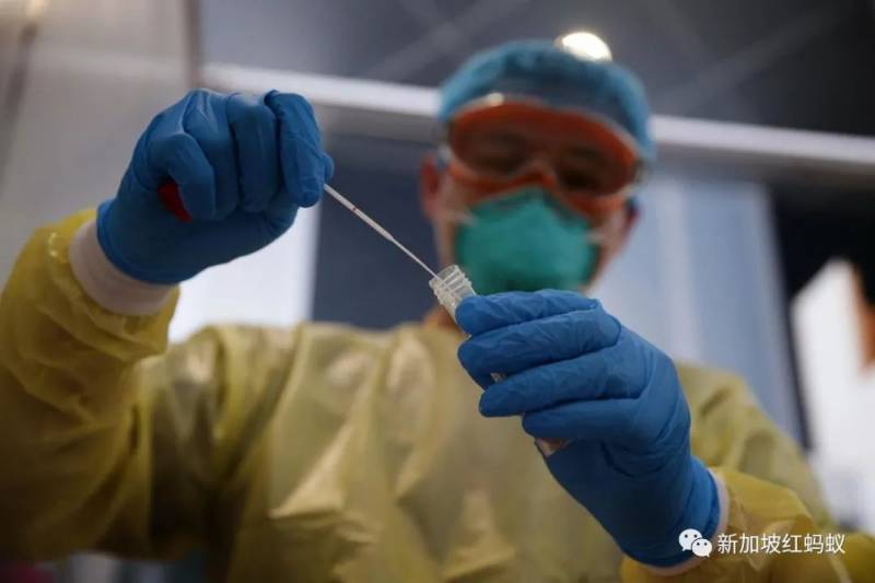 新加坡疫情的擴散，原來是這五個冠狀病毒分化支在“搞鬼”