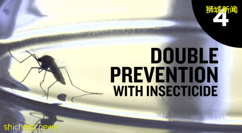 新加坡PSB学院学生事务处:预防登革热有妙招