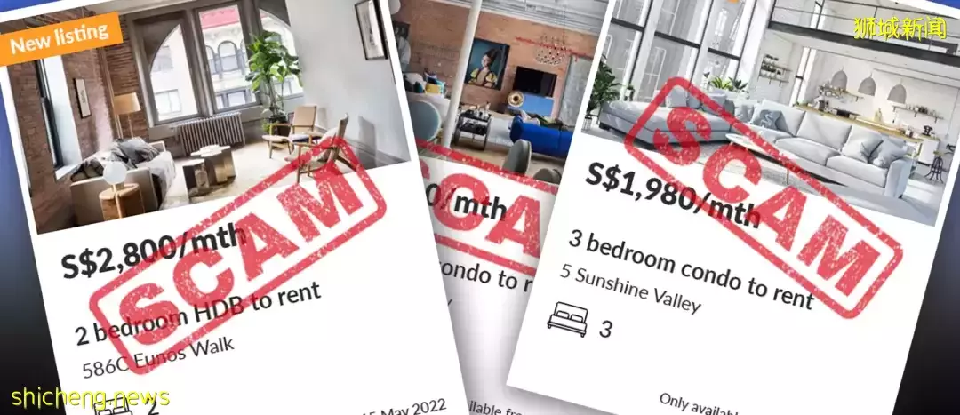 逾期逗留新加坡長達6年、還騙14人錢!這個男子要被鞭刑了