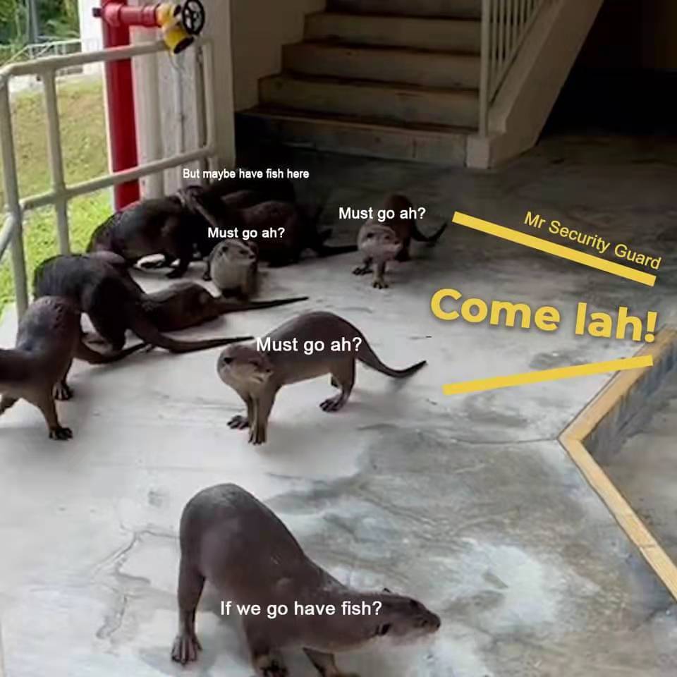 水獭家族参观教育部大楼,被保安大哥耐心劝走