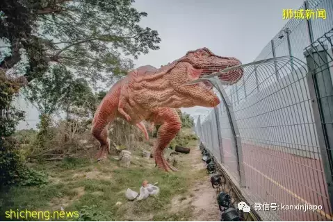 解锁樟宜机场的隐藏玩法,新加坡新晋打卡点