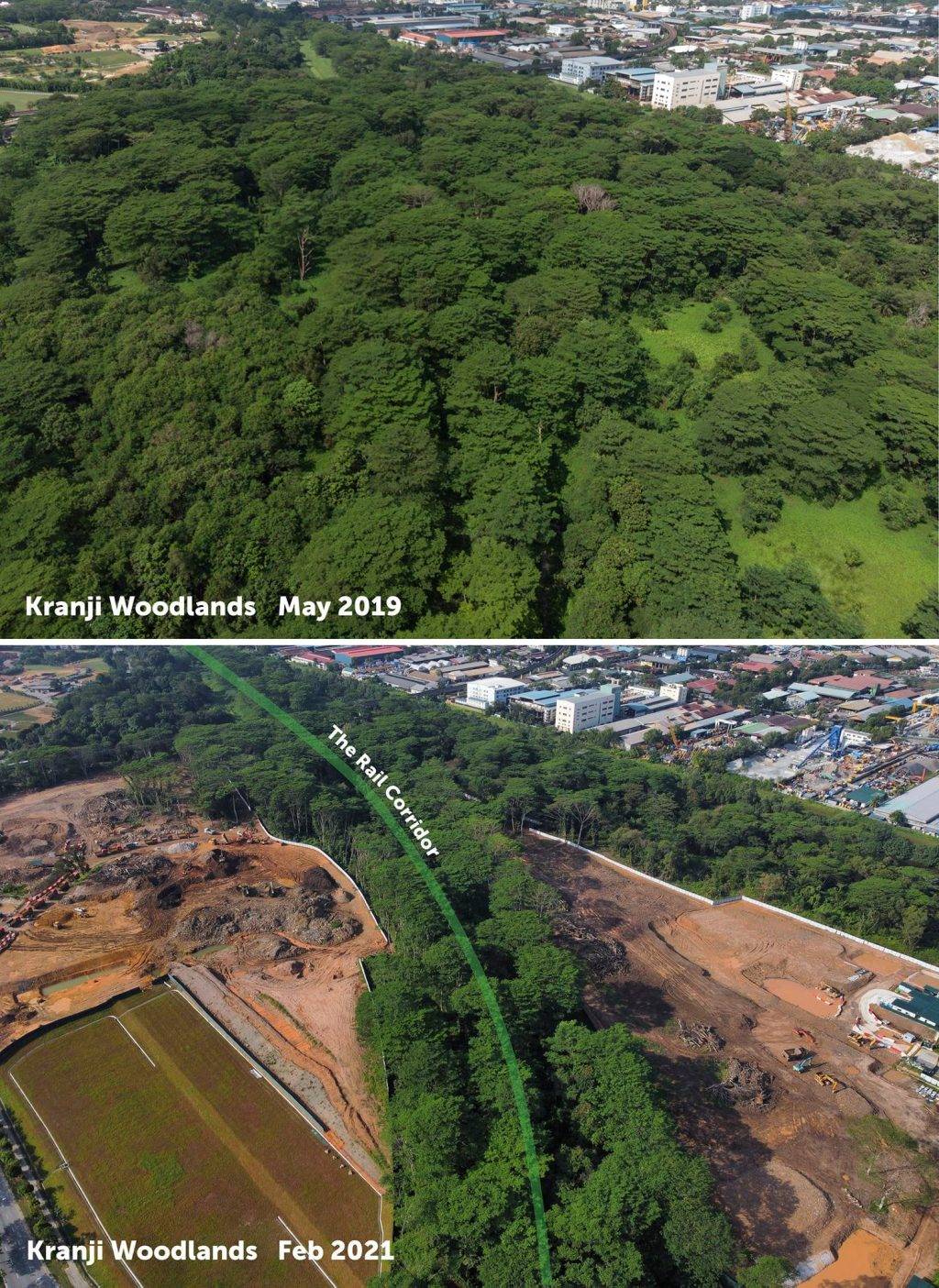 Kranji附近一片原始森林突然被清空開發！本地自然愛好者們表示十分震驚，可惜了