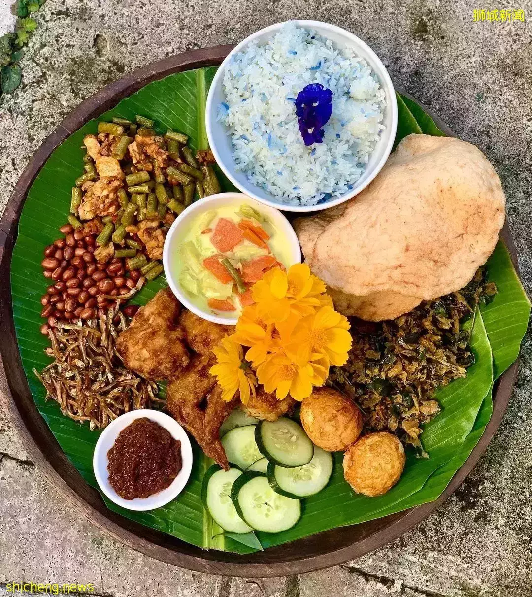 下水抓蛙、摘菜摸鱼、开土摩托……我带娃体验了一把新加坡的农家乐