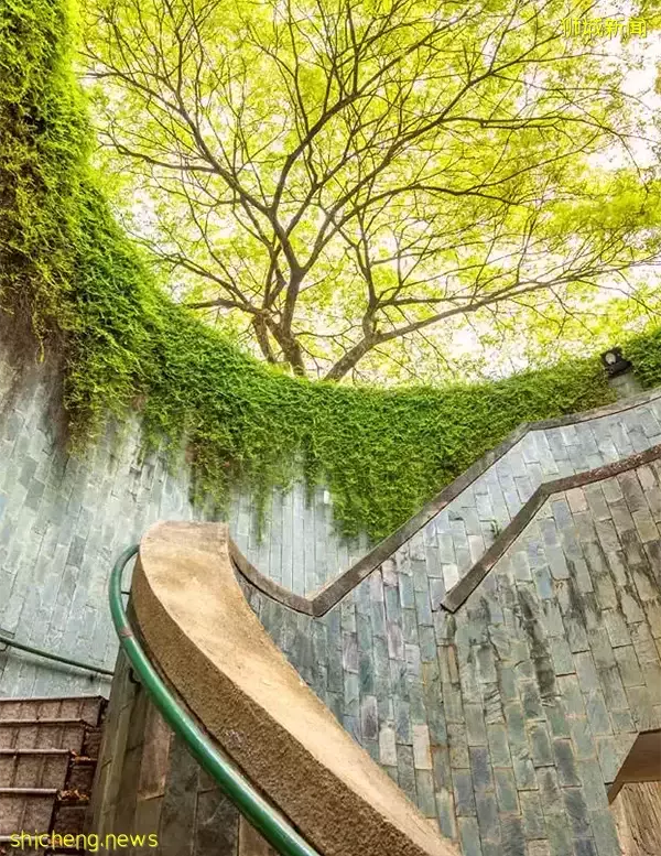 【去看看新加坡】体会不一样的“狮城”风情