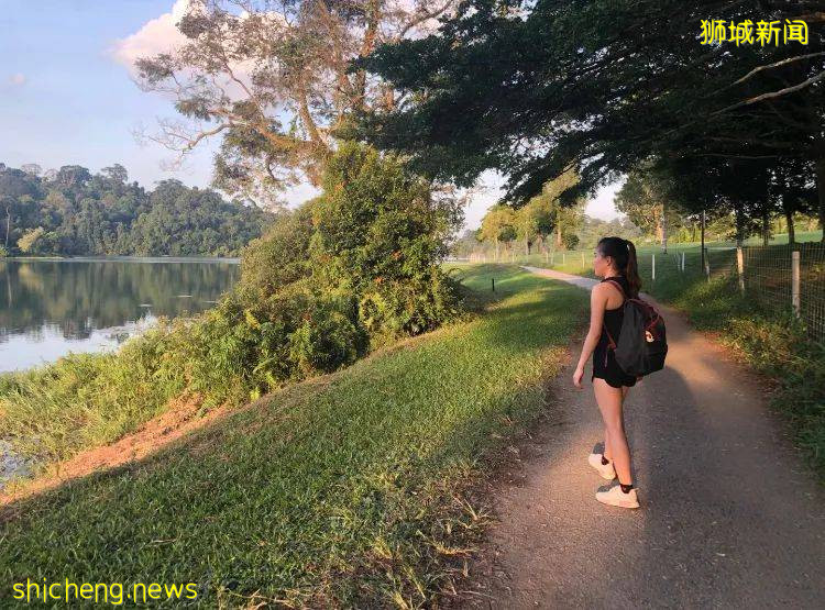 玩在獅城 盤點全島這15個免費景點，讓你玩的省錢又開心