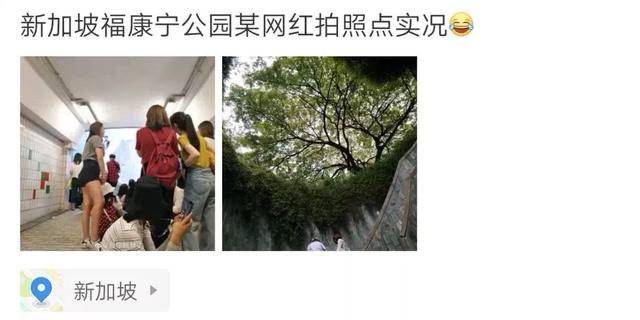 新加坡旅行|6天5晚奇遇狮城的日与夜