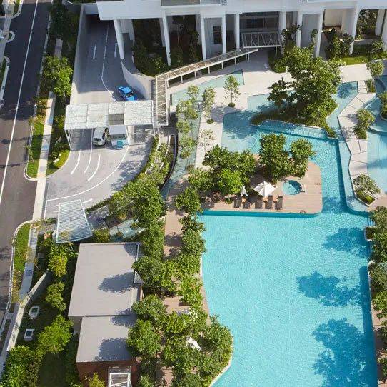 全球名校认可的高中国际文凭,新加坡学生通过率近98%