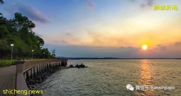 教你如何10元玩转新加坡