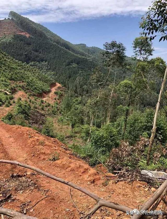 南安乐峰的新加坡国宝潘受,他的父亲竟是位“医神”