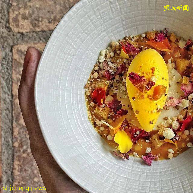 云端气氛组就位!狮城玩乐之旅即刻启航