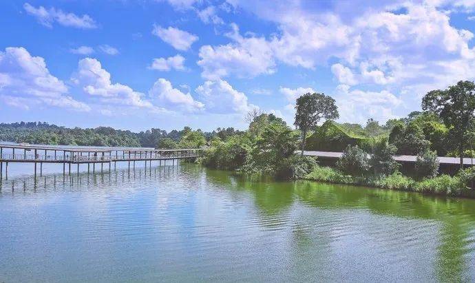 新加坡樟宜侏罗纪步道成热门景点,10月周末参观时段全被预订,11月初热门时段额满