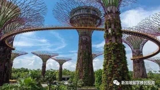 【生活資訊】移民到新加坡生活的感覺