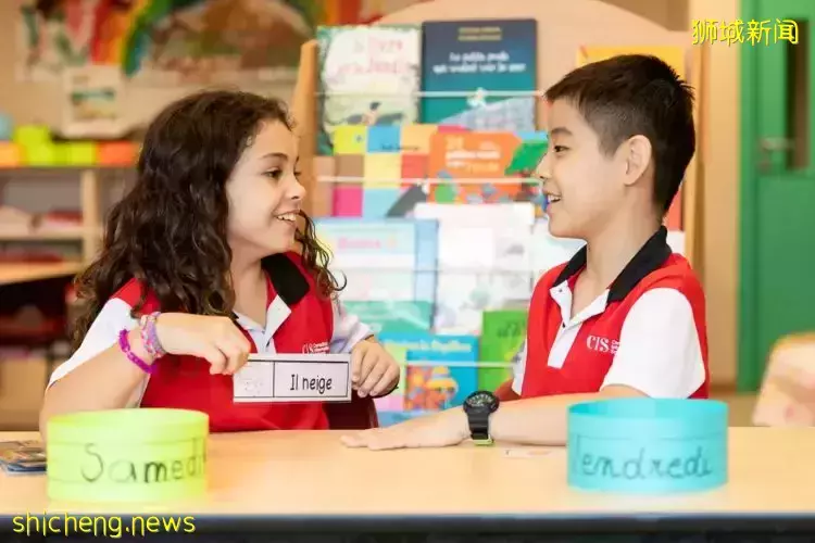 史上最強攻略!在新加坡如何選學校?國際學校vs政府學校,哪個好