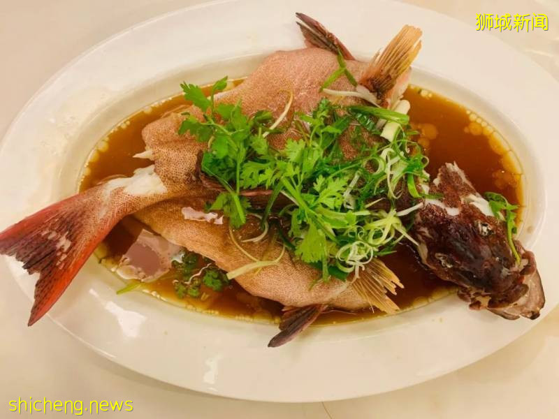 龙虾喂面燕窝鱼翅鲍鱼套餐才99元!这家靠海的海鲜馆也太好吃了吧