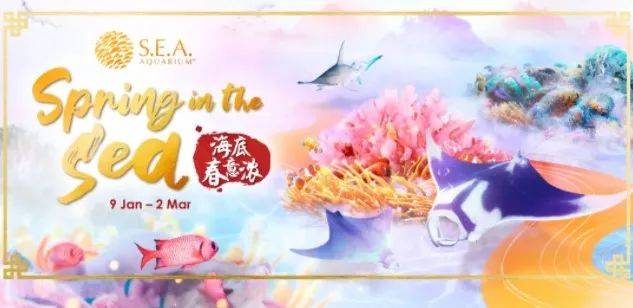 【周末去哪玩？】晝夜璀璨藝術節、海底春意濃、牛牛派對、大麗花之夢等等好玩等你來