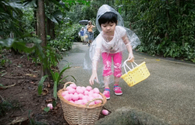 免费！新加坡飞禽公园找复活节彩蛋活动又来啦！仅1个月