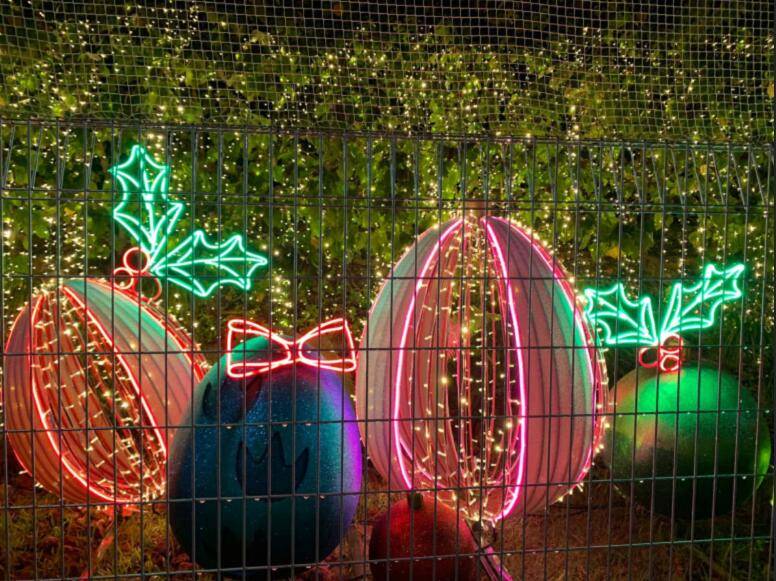 新加坡侏罗纪亮灯！说好的溜娃胜地怎么像万圣节的夜