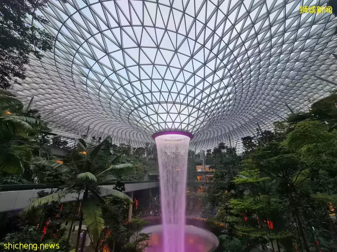 移民新加坡有捷径？最快20天可火速登陆