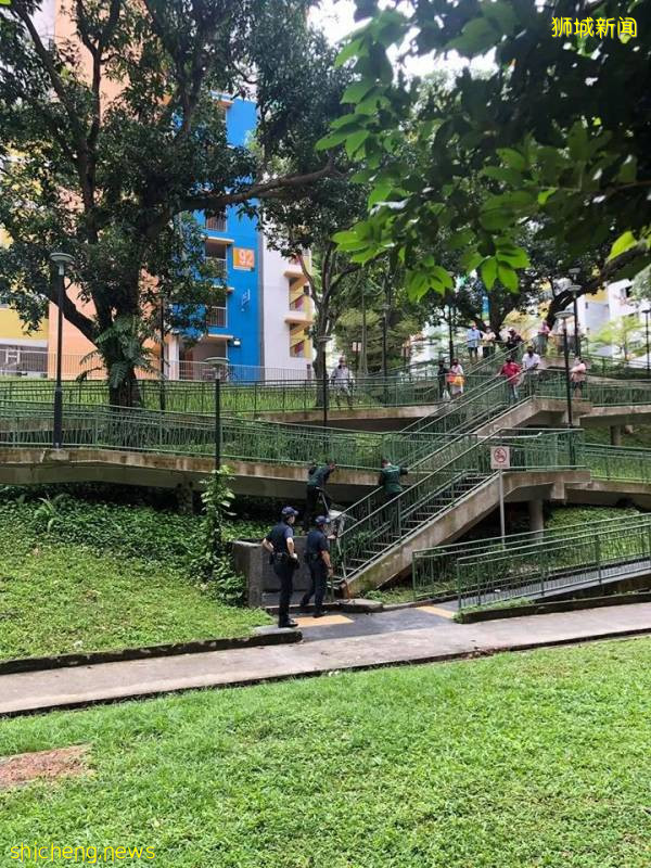 新加坡的这只蟒蛇,活生生吞了一只网红猫