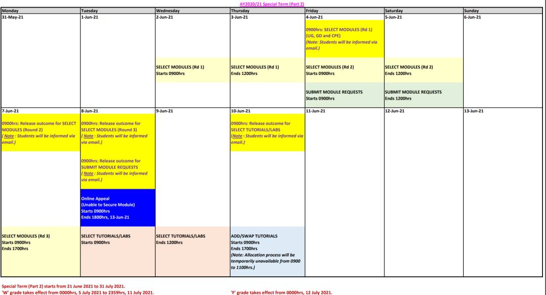 幹貨 國大 Special Term 詳解