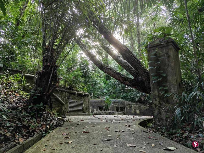 走!一起到拉柏多公园享受森林浴