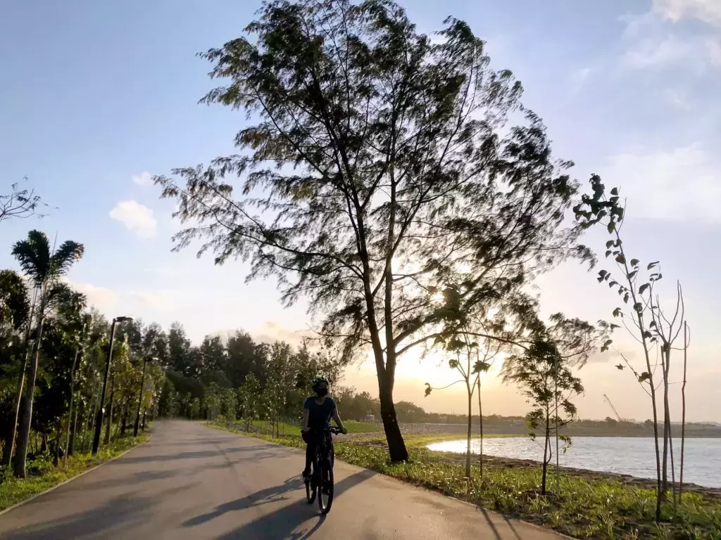 75km的环岛绿岛首阶段开始启用!沿途欣赏东部美景,本地再添骑车徒步好去处👣