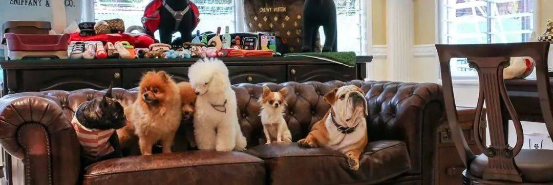 新加坡最像欧洲小镇的小山坡,藏着30多家好吃好玩好逛的文艺感小店