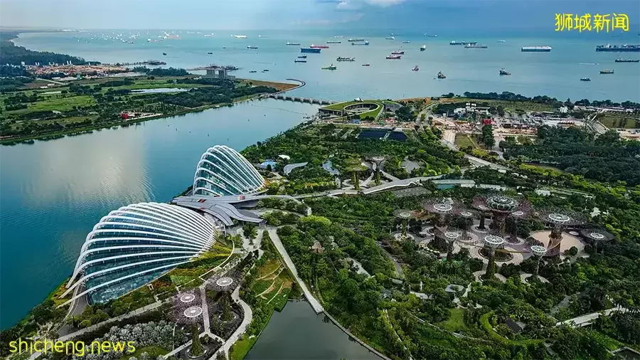 【去看看新加坡】体会不一样的“狮城”风情