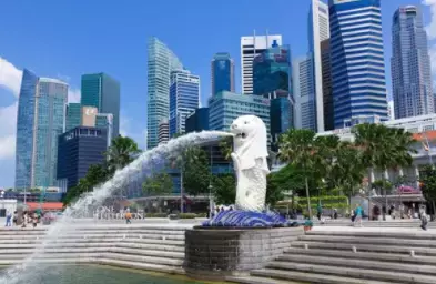 三名中国商人联合起诉!有人花10万新币,也没拿到新加坡PR