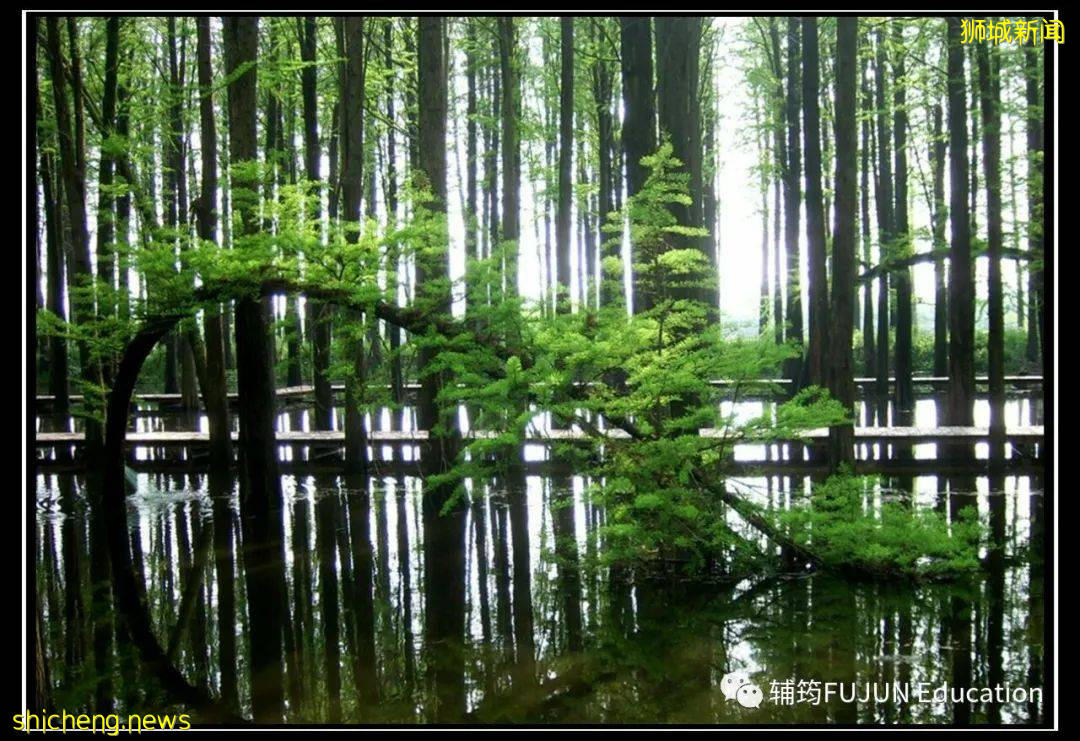 跟着小筠去游“新马”——新加坡吃喝玩乐(中篇)