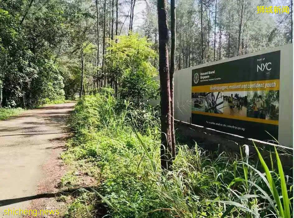 新加坡外展训练中心将在科尼岛建新校区,被指影响自然和野生动物