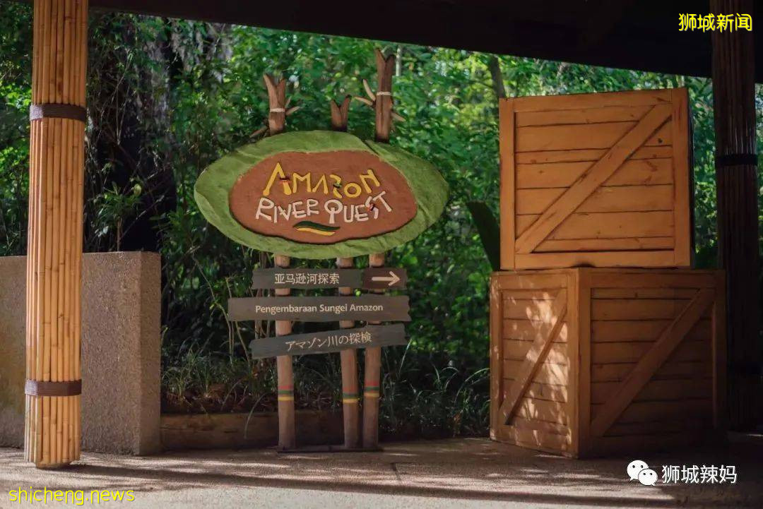 僅2天！新加坡動物園最牛的餵動物之旅，8折！還有幻光雨林和4大園5.5折起，搶啦