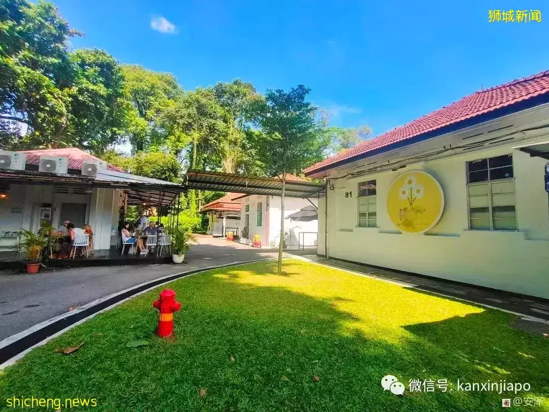 新加坡的这里如此浪漫又闲暇,在这工作就如度假