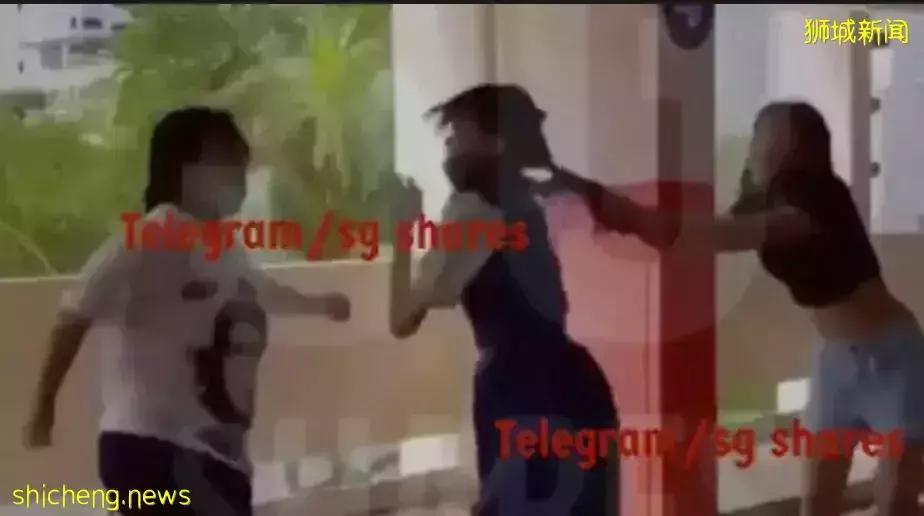 新加坡女学生停车场被同学暴打,专家提醒:女学生已习惯被欺负