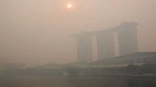 昨早，新加坡全岛各处有一股怪味！难道印尼开始烧芭了