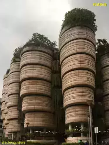 初次留学？这份新加坡留学生兼职指南请收好