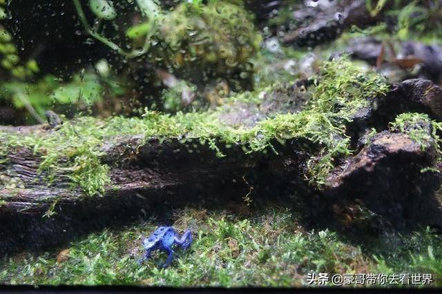 新加坡不枉此行的10大看點（中）分三集介紹