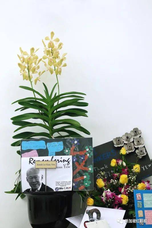 中國有桌球外交，新加坡有胡姬花外交，藏著許多鮮爲人知的有趣故事