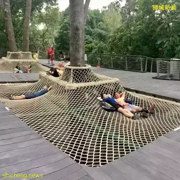 免費！新加坡排名第一的“家庭遊樂場”，竟然有這麽多項目我還沒玩過