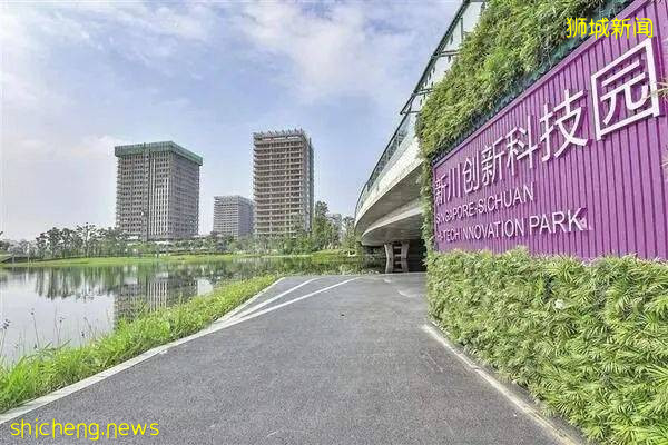 重磅！新加坡和深圳全面合作，和中国关系越来越铁