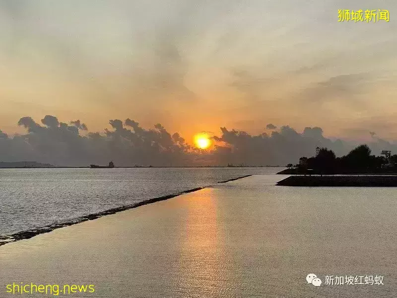 【圖文】這段18公裏沿海路線美爆了! 左看右看都不像在新加坡