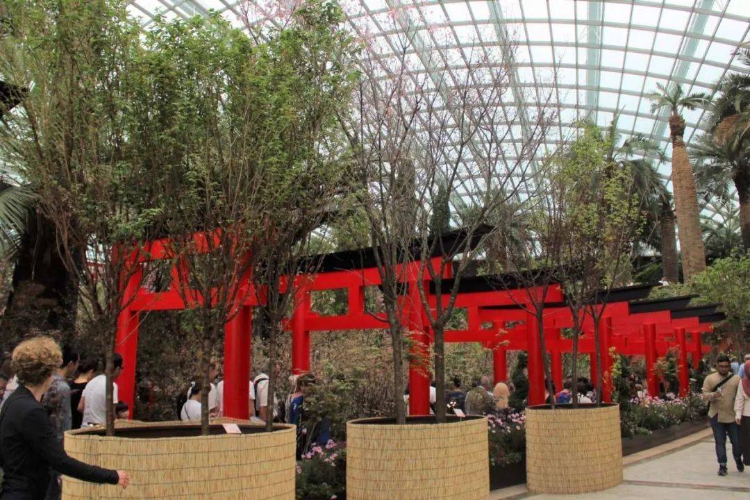 櫻花季去不了日本?那就在濱海灣和Hello Kitty共賞櫻