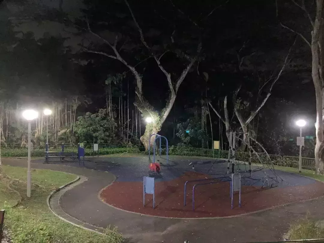 最新跟進！新加坡男童雙屍案，親生父親涉謀殺被捕