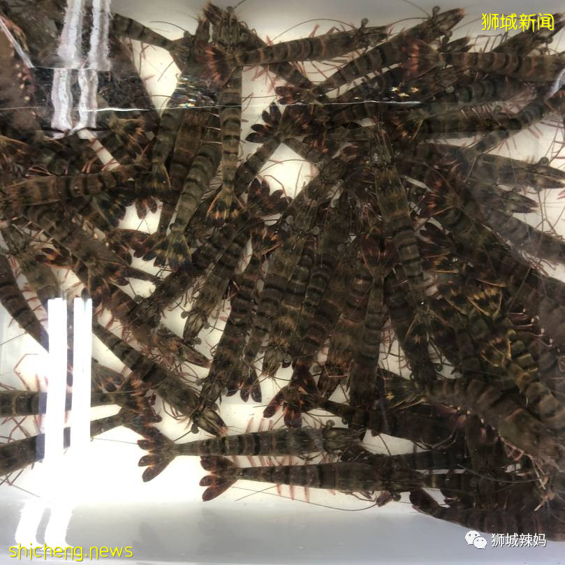 超劃算中國超市！$0.6鮑魚、$8麻辣小龍蝦、活鲫魚、80種海鮮、100多種面食