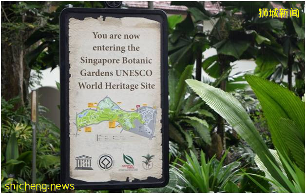 新加坡植物園（上）!