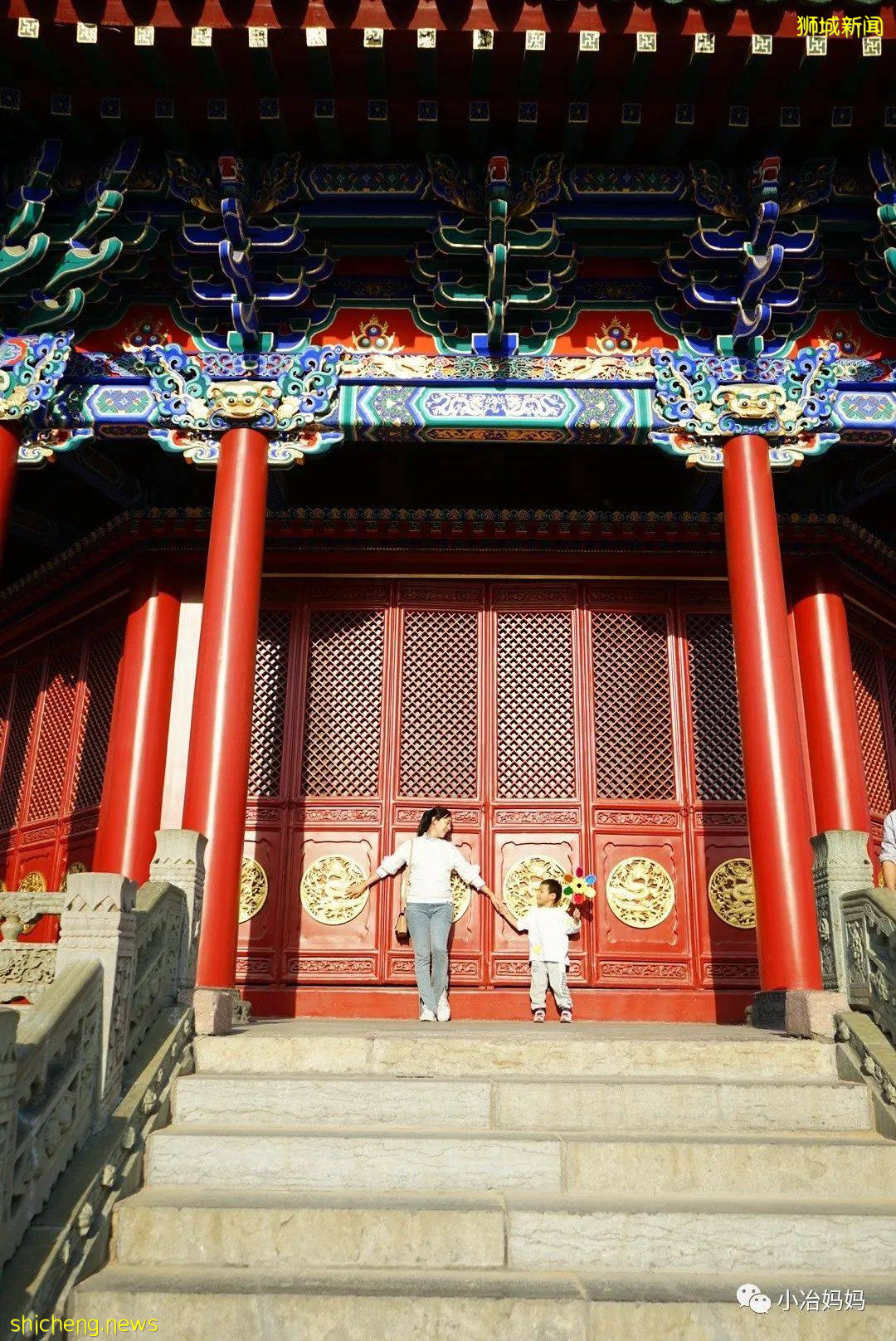 結束11年新加坡的生活!我懷孕帶著5歲的娃回了中國又移民澳洲!這瘋狂又神奇的旅程